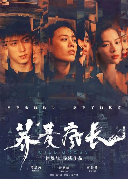 查普曼大学环境科学学位证书